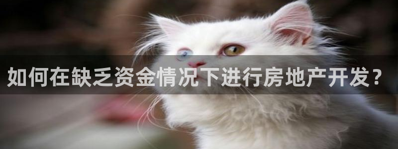 万向娱乐平台代理怎么样