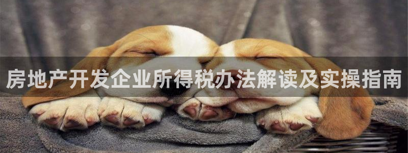 万能娱乐平台直招代理