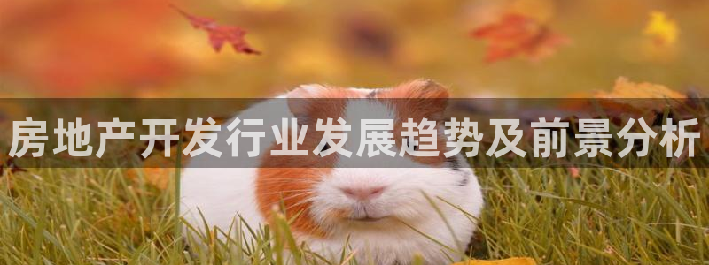 万向娱乐网址是什么
