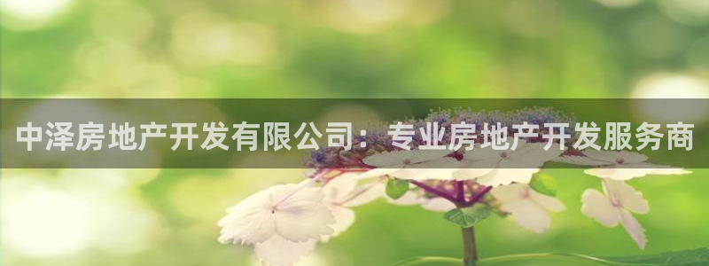 万向娱乐官网网址