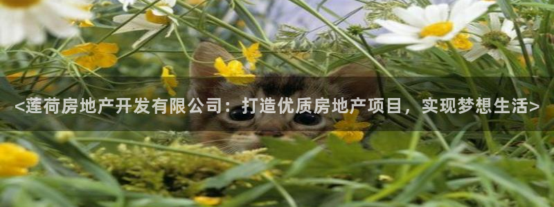 万向娱乐注册登录不上去