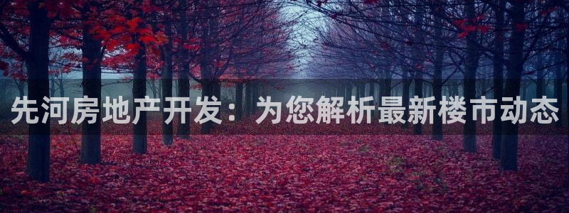 万向娱乐技术
