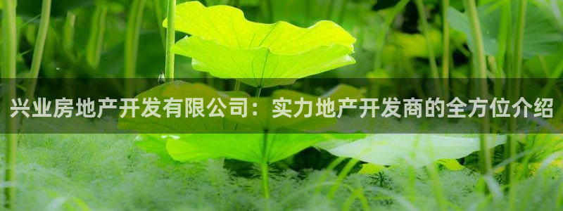 万向娱乐平台注册流程图