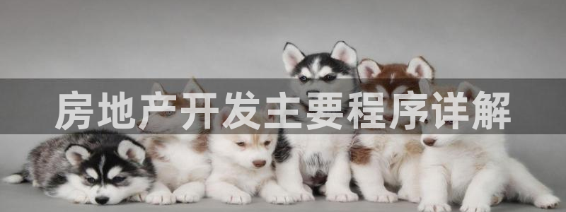 万向娱乐平台代理多少钱一个月