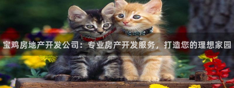 万向娱乐注册登录开户怎么弄
