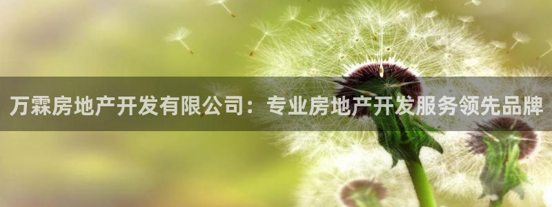 万向娱乐平台代理多少钱一个月