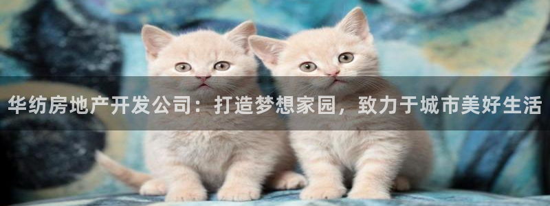 万向娱乐平台注册流程图
