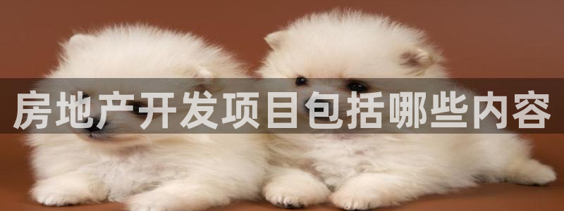 万向娱乐平台代理