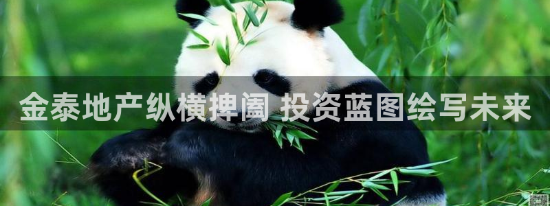 万向娱乐公司 585.34I 娱乐