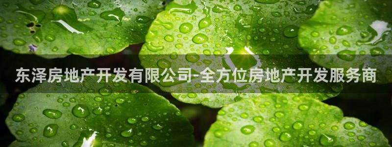 万向娱乐官网下载安装最新版
