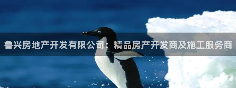万向娱乐注册登录不了怎么办