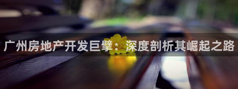 万向娱乐平台注册条件是什么