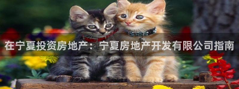万向娱乐的494o3 主管