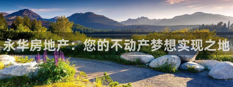 万向娱乐下载安装
