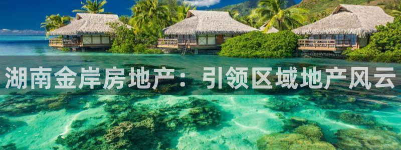 万向娱乐app