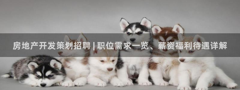 万向娱乐平台代理怎么做的