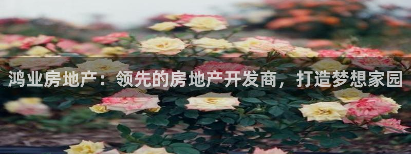 万向娱乐的注册登录
