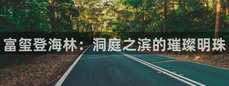 万向娱乐的494o3 主管