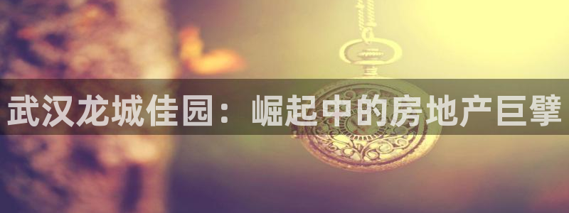 万向娱乐招商