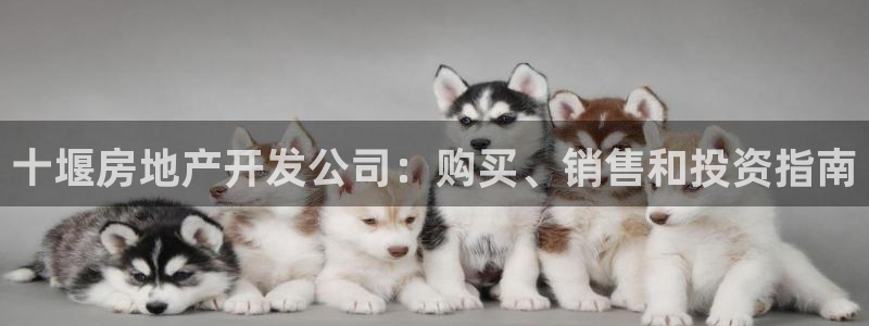 万向娱乐app下载苹果版