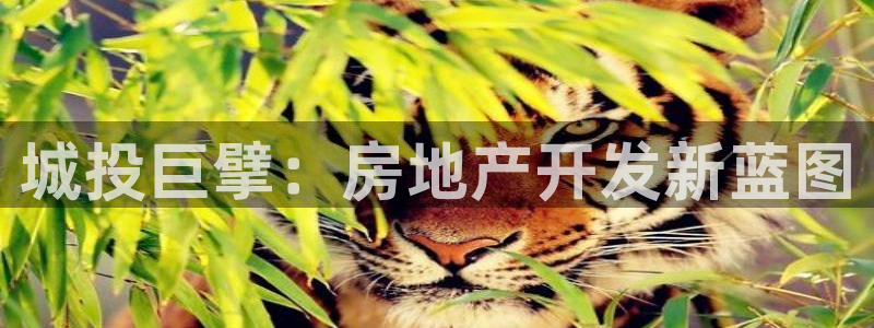 万向娱乐注册登录