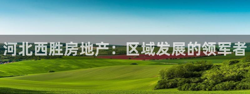 万向娱乐灯333OO