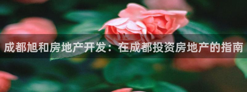 万向娱乐官网网址