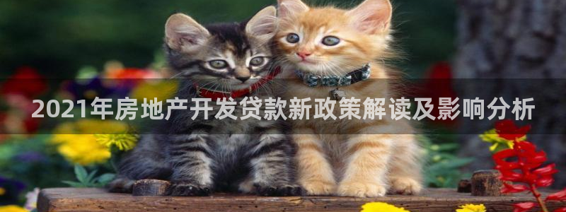 万向娱乐平台下载安装