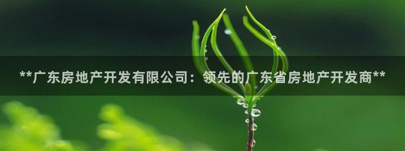 万向娱乐平台代理怎么样赚钱
