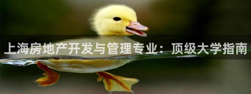 万向娱乐平台提现多久到账