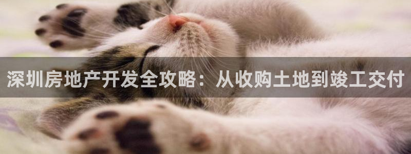 万向娱乐总代