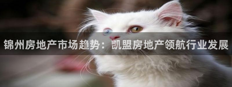 万向娱乐平台代理怎么做赚钱