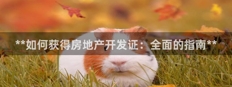 万向娱乐老板