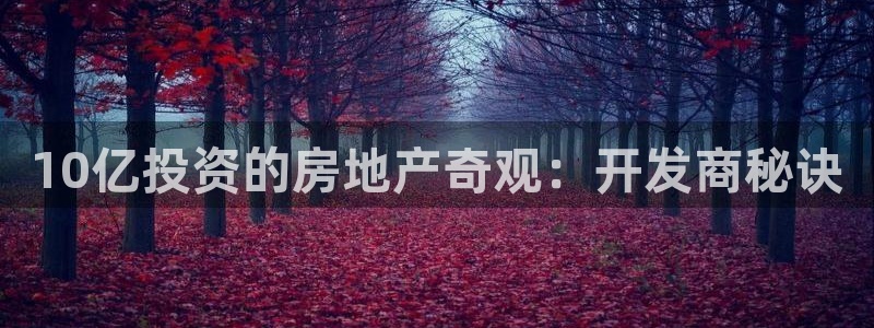 万向娱乐app