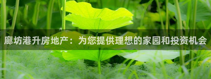 万向娱乐平台招商骗局