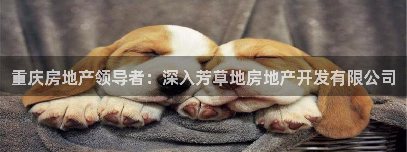 万象游戏代理