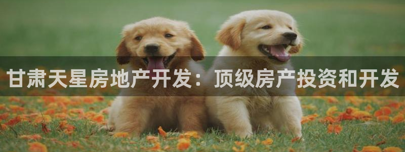 万向娱乐老板