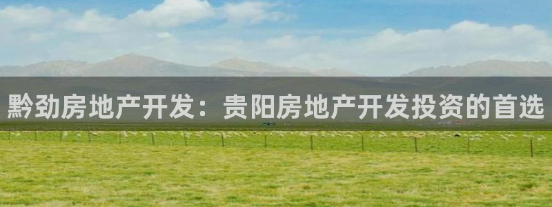 万向娱乐的494o3 主管