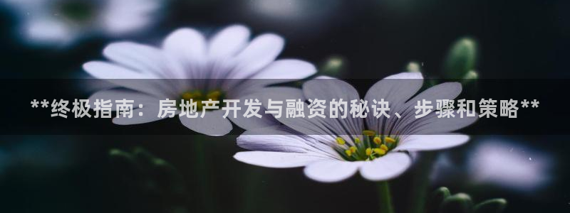 万向娱乐公司官网