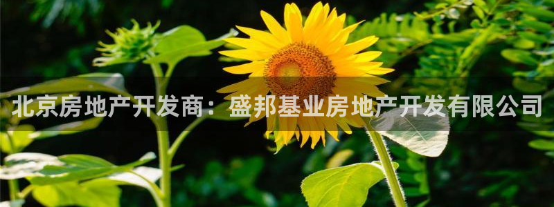 万向娱乐技术