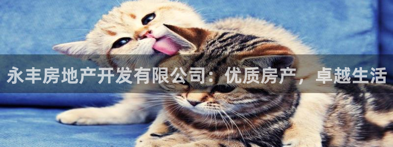 万向娱乐总代