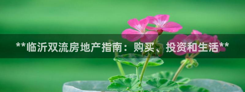万向娱乐的494o3 主管