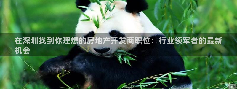 万向娱乐app