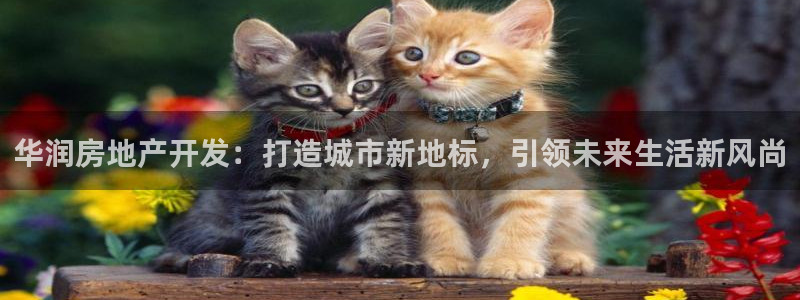 万向娱乐