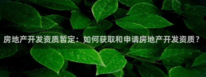万向娱乐官网下载安装最新版
