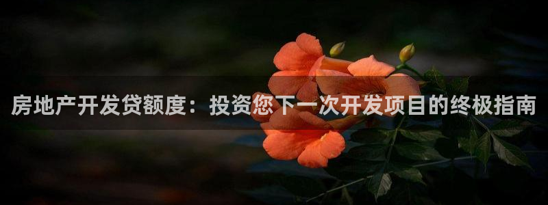 万象游戏代理