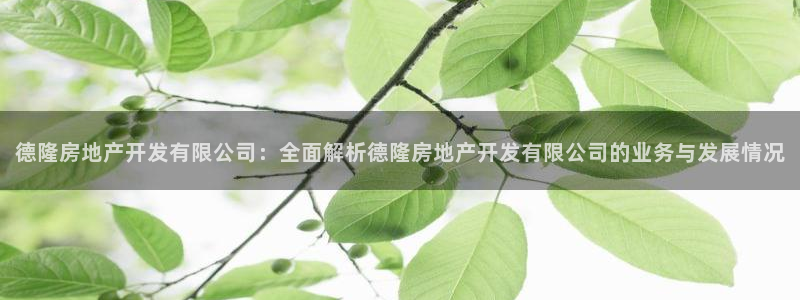 万向娱乐挂机
