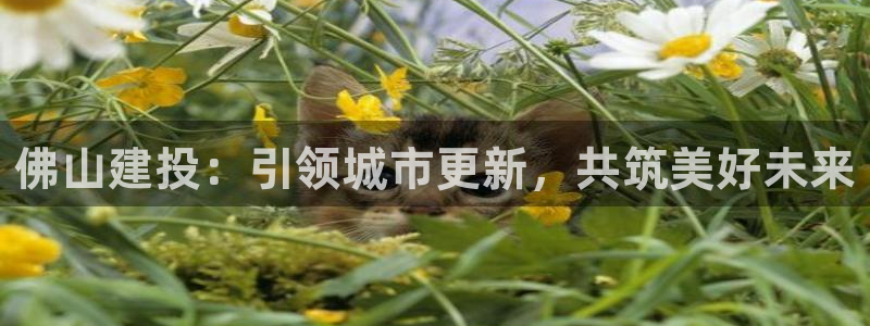 万向娱乐老板