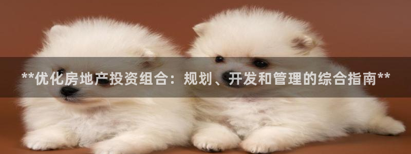 万向娱乐招商