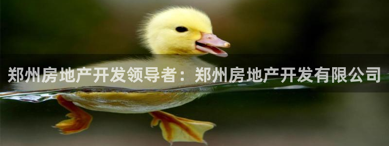 万能娱乐平台直招代理